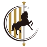 マリーゴーアイコン