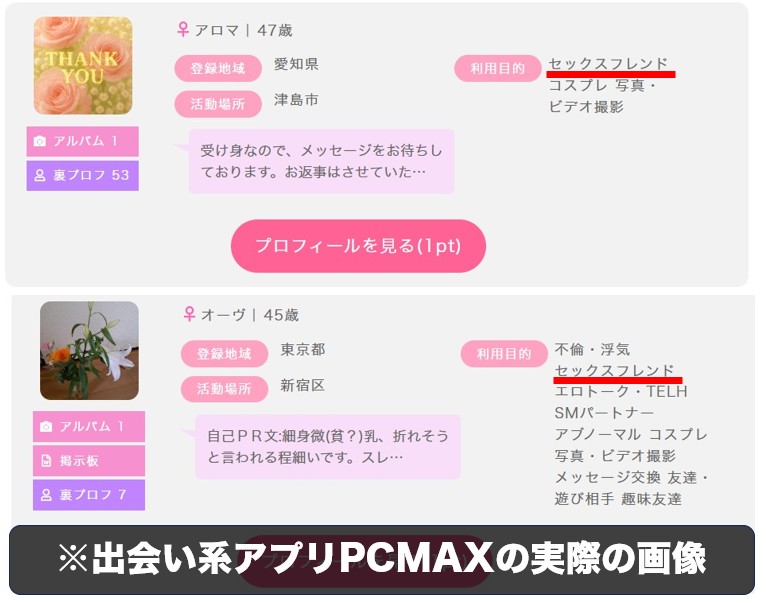 PCMAXの検索・操作画面イメージ